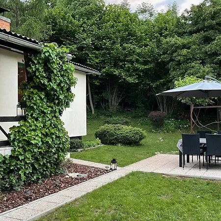 Mika's Garden